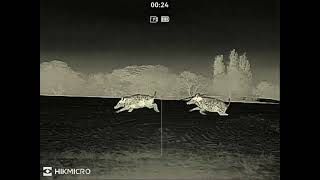 Hikmicro Thunder Th35C 3.0