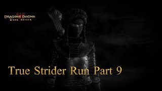 Dragons Dogma (PC) True Strider Run Part 9: Heart of Darkness