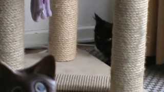 Ilania.....une Pe Marrante....