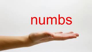 How to Pronounce numbs - American English
