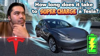 Tesla Supercharging: How Long Does It Take to Charge a Model 3?