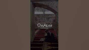 يا رب 🤍🤍 ｜ اكتب شي تؤجر عليه ｜ القارئ عبدالرحمن مسعد ｜ قرآن كريم