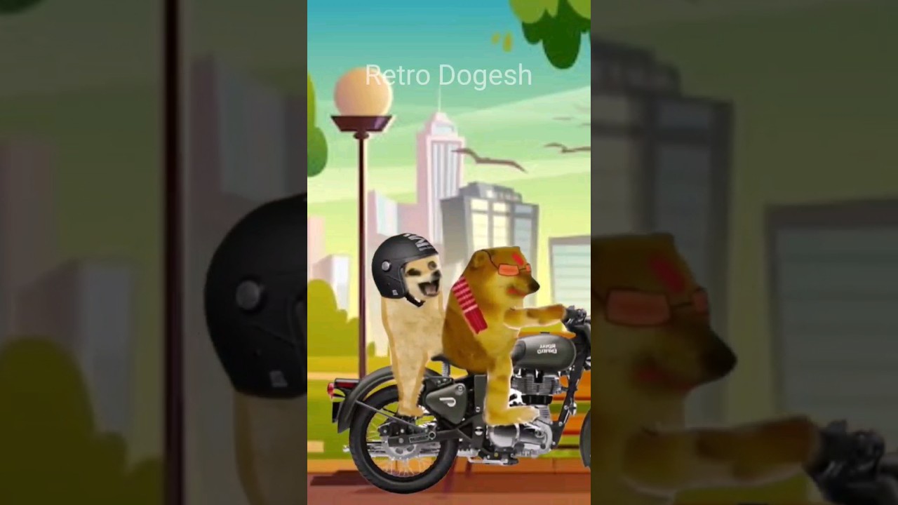 Ramandi Baaz Vimdhayak ji 