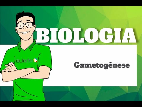 Vídeo: Qual é a definição de parto em biologia?