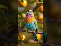 Song Of This Vibrant Bird | Orchard Fruit Bite | 4K Cinematic Macro