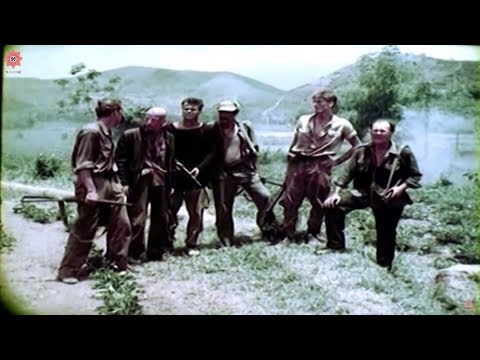 best-vietnam-movies-|-lives-of-the-jungle-|-war-movies---full-length-english-subtitles