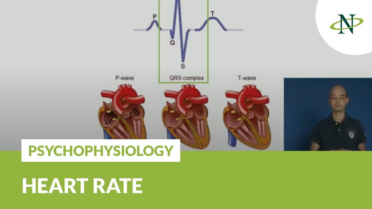 Psychophysiology: Heart rate | Noldus Presentation