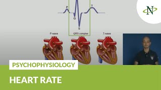 Psychophysiology: Heart rate | Noldus Presentation screenshot 2