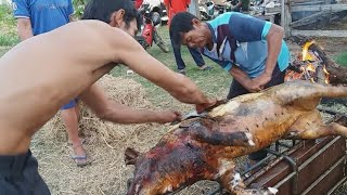 ล้มหมูเพื่อทำอาหารต้อนรับแขกที่มางานศพ ใช้วิธีแบบดั้งเดิมร่วมด้วยช่วยกัน ตามวิถีชีวิตของคนอีสาน
