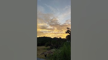 #قرآن #quran #المصحف #اكسبلور #explore #لايك #yasseraldossary #الشيخ_ياسر_الدوسري #سورة غافر