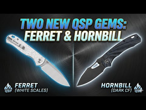 ???? QSP JUST DOESN'T FAIL..... EVER. ????????