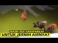 Air Ikan Mas Koki Sudah Hijau Lumutan Menghitam Pekat, Masih Ada Harapankah untuk Jernih Kembali?