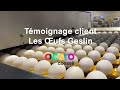 Tmoignage client  socit geslin