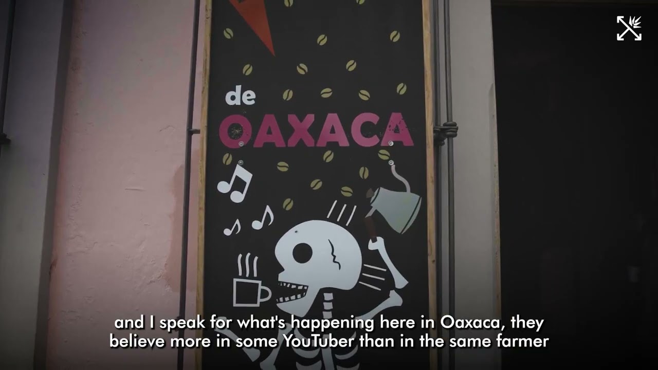 Climate change, competition, and mezcal with producer Luis Enrique Juárez Ramírez