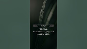 ﴿وجعلنا من الماء كل شيء حي﴾ آيات من سورة الأنبياء بصوت الشيخ المنشاوي رحمه الله