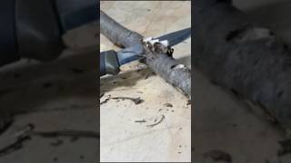 Why Bushcraft Knives Are Built Differently?