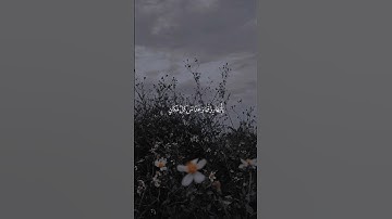 عبد الرحمن مسعد سورة النحل                    #quran #راحة_نفسية