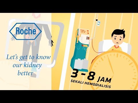 Let’s get to know our kidney better