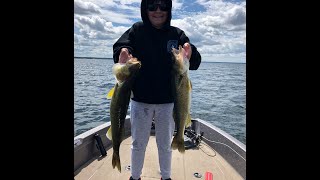 Big walleye beat down