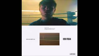 BROCKHAMPTON - 1998 FREAK (HQ)