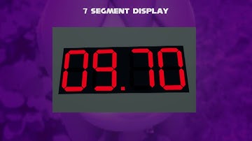 Perci the Bandicoot Telling about 7 Segment Display