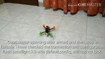 [SOLVED] Quad problem motor spinning after armed and then stopped