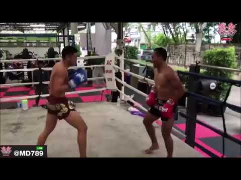 เทรนเนอร์ คนนี้ ค่าตัวเท่าไหร่ครับ แสงมณี