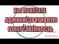 Алина Александровна. Сборная солянка №387 |Коллекторы |Банки |230 ФЗ| Антиколлектор|