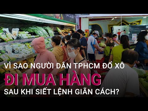 Video: Hoa Kỳ áp đặt Các Hạn Chế Về Thị Thực đối Với Những Người Buôn Bán Gỗ Bất Hợp Pháp