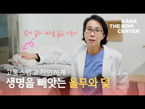고통스럽고 잔인하게 생명을 빼앗는 올무와 덫
