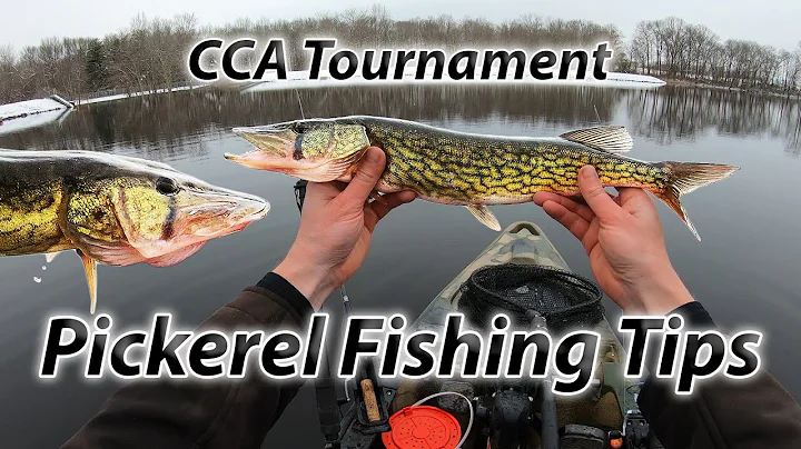 PICKEREL BONANZA! Pickerel Fishing Tips and the CCA Pickerel Tournament