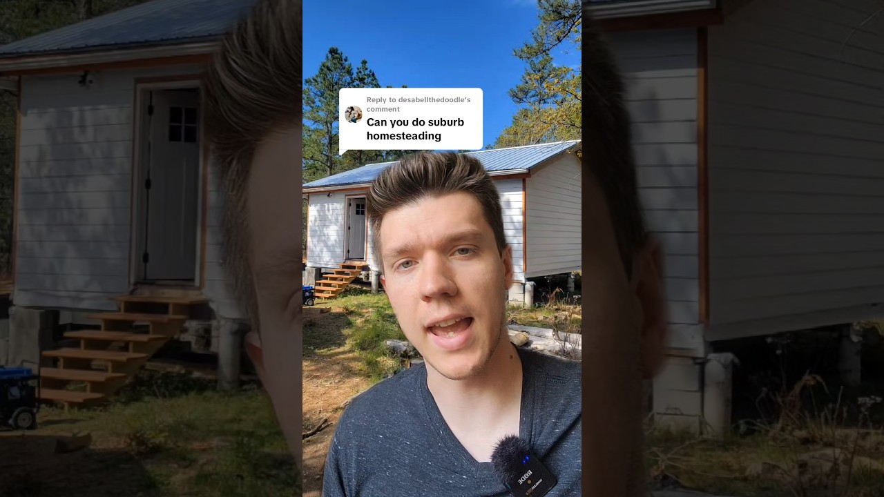 Homesteading in the suburbs 