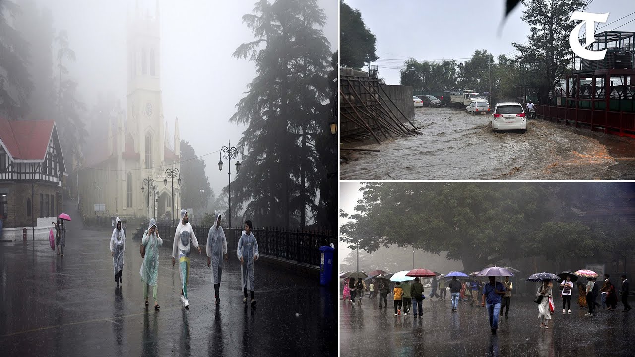 Heavy rains lash Shimla and adjoining areas, fog engulfs the region reducing visibility