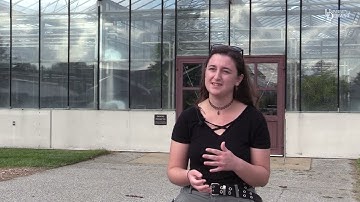 University of Delaware students learn hydroponic food production