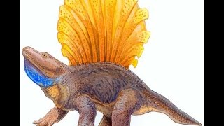 Prehistoric Information- Platyhystrix