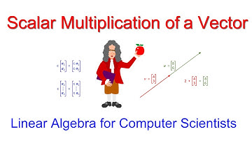 Linear Algebra for Computer Scientists.  4. Scalar Multiplication of Vectors