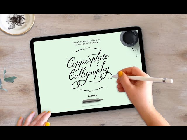 Copperplate (Full Set) Practice Workbook (iPad pro)