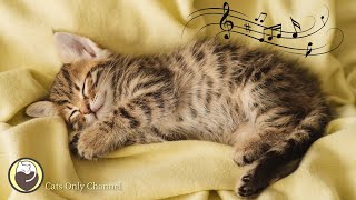 Cat Music - Sounds that Cats Love, Cat Purring Sounds & Soothing Sleep Music