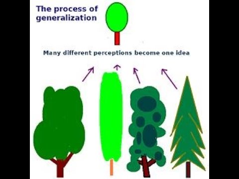 What Is An Example Of Generalization In Psychology