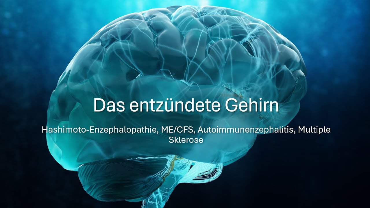 Das entzündete Gehirn