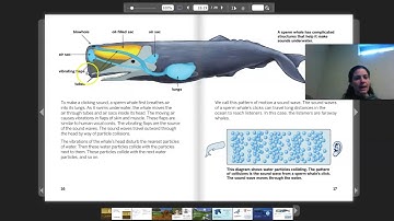 Grade 4: Waves, Energy, and Information, Chapter 2, Lesson 2.3 (Part 1 of 2)