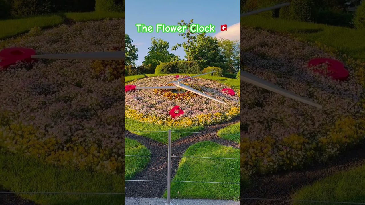 Did you know? Geneva’s Flower Clock has over 6,500 flowers and plants! 🌿🌷