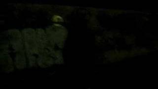 Dusan 415 Vs Thomas 424