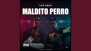 Maldito Perro