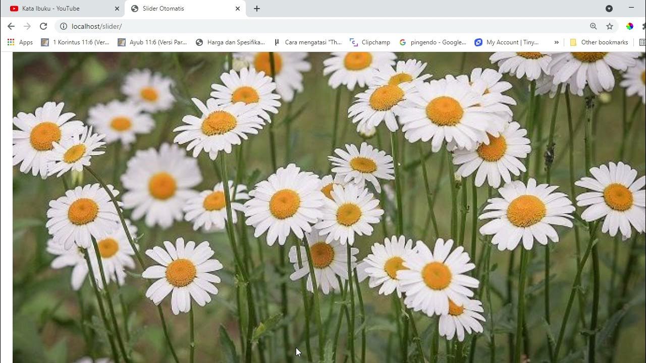 Slider Otomatis Dengan Javascript HTML dan CSS - YouTube