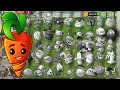 Pvz 2 Challenge - INTENSIVE CARROT & All Plants Die Vs  All Zombies - Who Will Win?