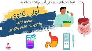 التفاعلات الكيميائية في أجسام الكائنات الحية || أحياء اولي ثانوي