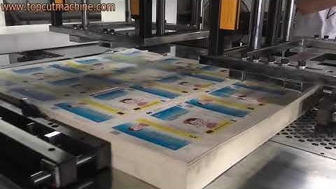 double head waste stripping machine one for window