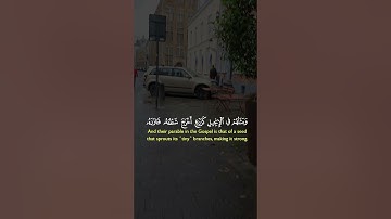 تلاوة عطرة لآيات من كتاب الله #القرآن_الكريم #الله #اكسبلور #foryou #viral #fyp #راحة_نفسية #coran