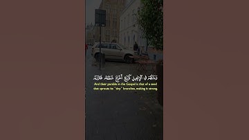 تلاوة عطرة لآيات من كتاب الله #القرآن_الكريم #الله #اكسبلور #foryou #viral #fyp #راحة_نفسية #coran